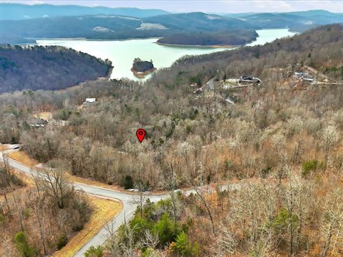 Wooded Lot + Norris Lake Access : New Tazewell : Claiborne County : Tennessee