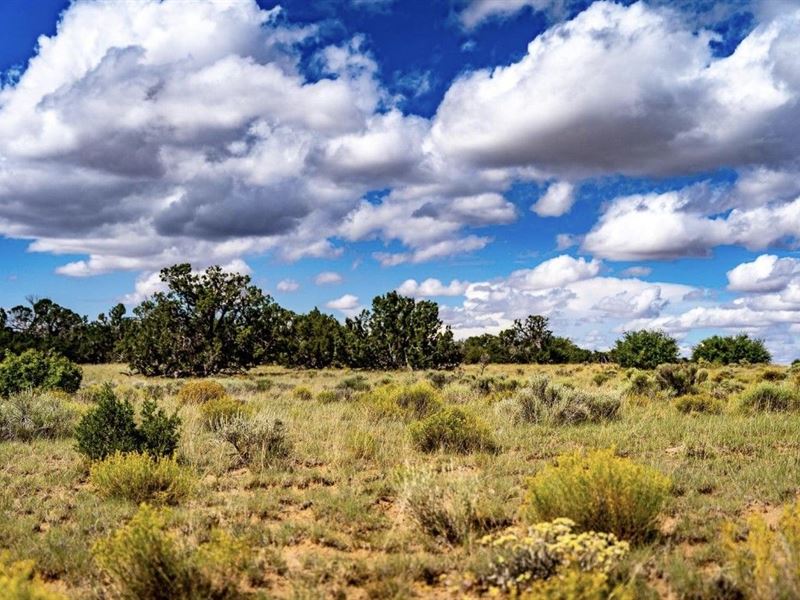 5 Acre Off-Grid Desert : Saint Johns : Apache County : Arizona