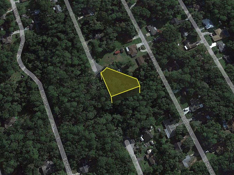 Prime Residential Lot $370/Mo : Inverness : Citrus County : Florida