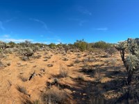 No HOA, No Neighbors, Just Desert : Tucson : Pima County : Arizona