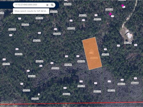 Ag-Zoned Freedom for $199 Down : Pomona Park : Putnam County : Florida