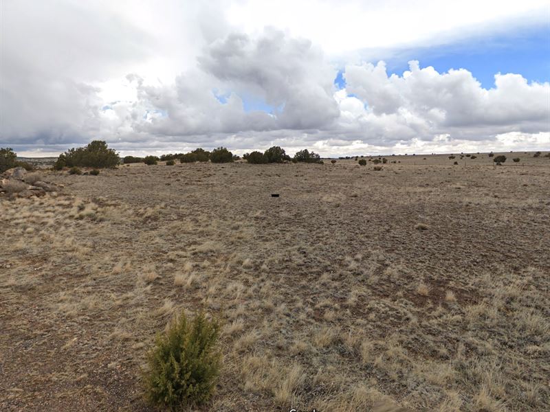 Quiet 4 Acres in Apache County, AZ : Concho : Apache County : Arizona