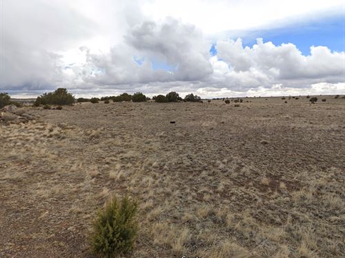 Quiet 4 Acres in Apache County, AZ : Concho : Apache County : Arizona
