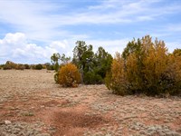 Northern Arizona Getaway Land : Seligman : Yavapai County : Arizona