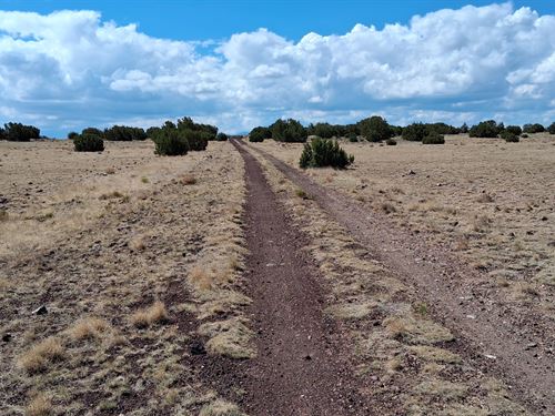 Off-Grid Lot Ideal for Solar Use : Concho : Apache County : Arizona
