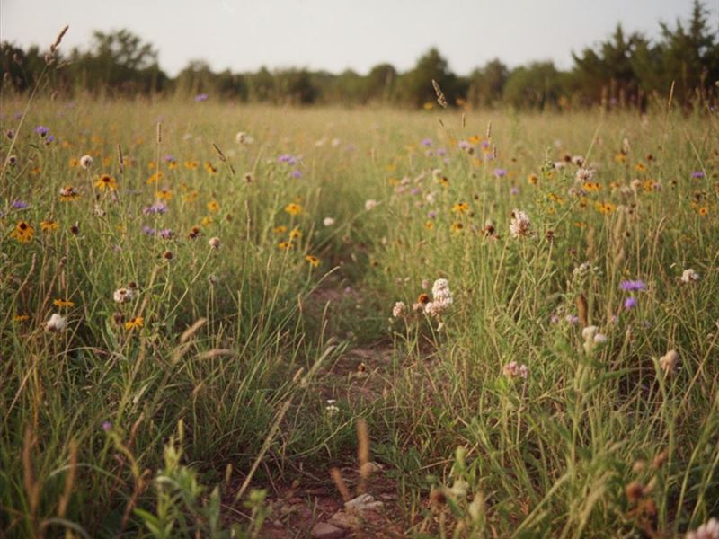 Vacant Acres in Glenpool, OK : Glenpool : Tulsa County : Oklahoma