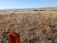 Quiet Ranch Land Near Mountains : Belen : Valencia County : New Mexico