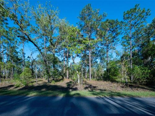 Attention All Nature Lovers : Dunnellon : Marion County : Florida