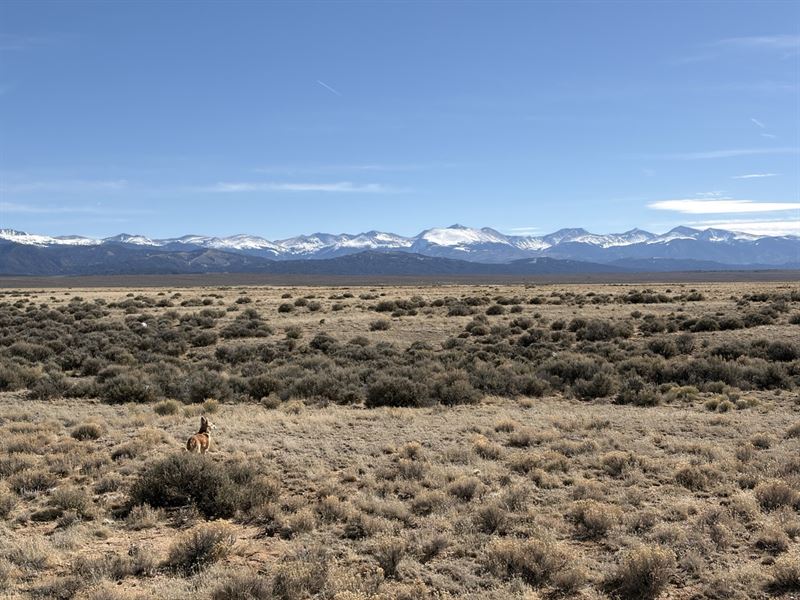 Off-Grid Ready Land : San Acacio : Costilla County : Colorado