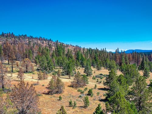 2.3 Acres Prime Hunting Land Access : Bonanza : Klamath County : Oregon