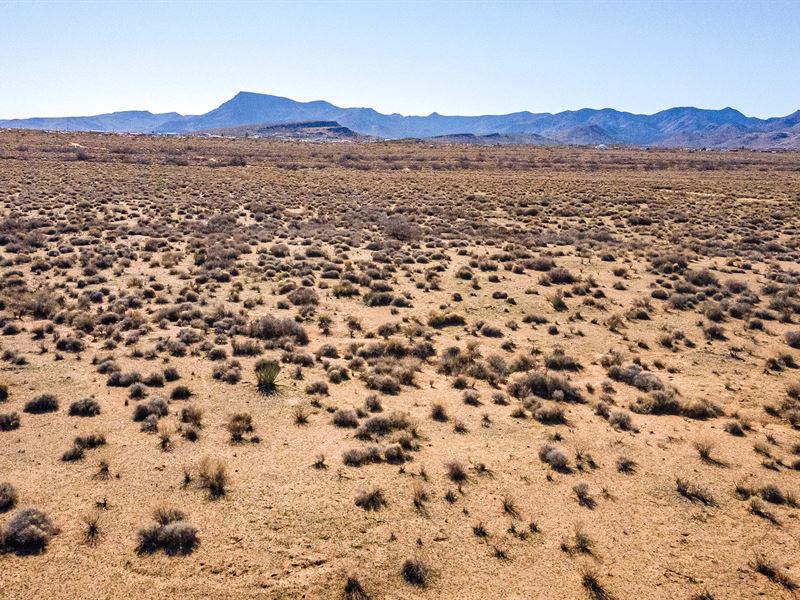 Arizona Land with Room to Grow : Kingman : Mohave County : Arizona
