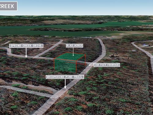 .42 Acre in Mount Vernon, $200/Mo : Mount Vernon : Franklin County : Texas