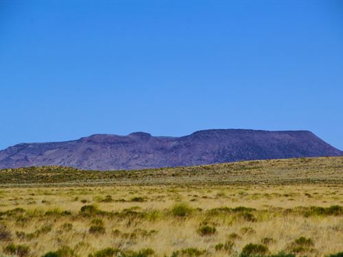 10 Acres on Vista Dr, CO : San Luis : Costilla County : Colorado