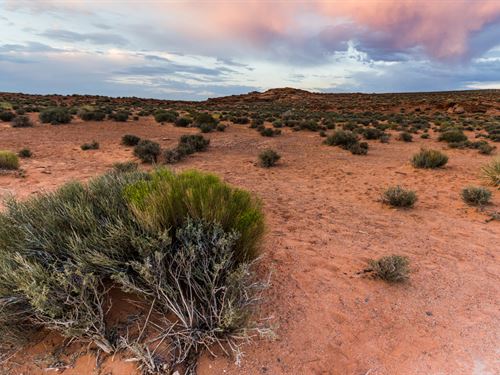 Scenic 5 Acres of Vacant Land in AZ : Saint Johns : Apache County : Arizona