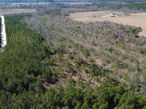 Tract 5, Greyhound Road, Mershon : Mershon : Bacon County : Georgia