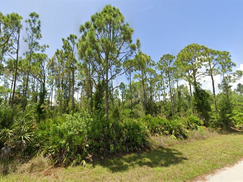 Fall in Love with Land at $149 Down : Punta Gorda : Charlotte County : Florida