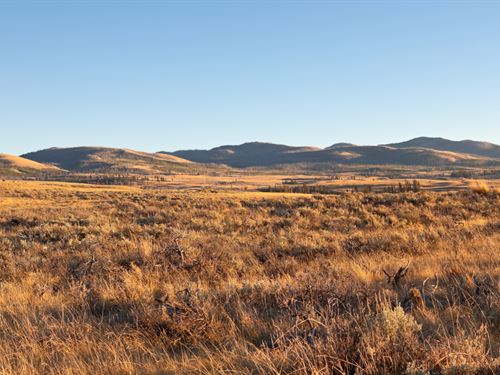 Live Next to 5 Mile Canyon : Snowflake : Navajo County : Arizona