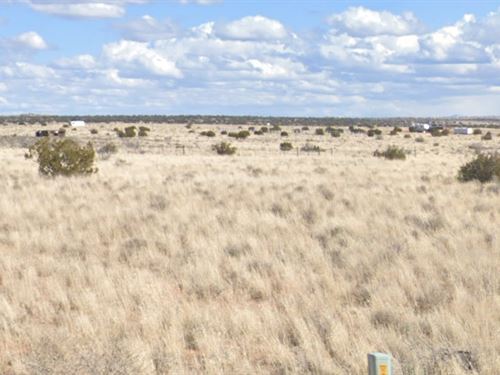 Live Next to 5 Mile Canyon : Snowflake : Navajo County : Arizona