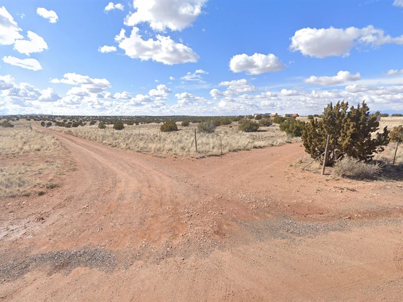 Corner Lot Near 5 Mile Canyon : Snowflake : Navajo County : Arizona