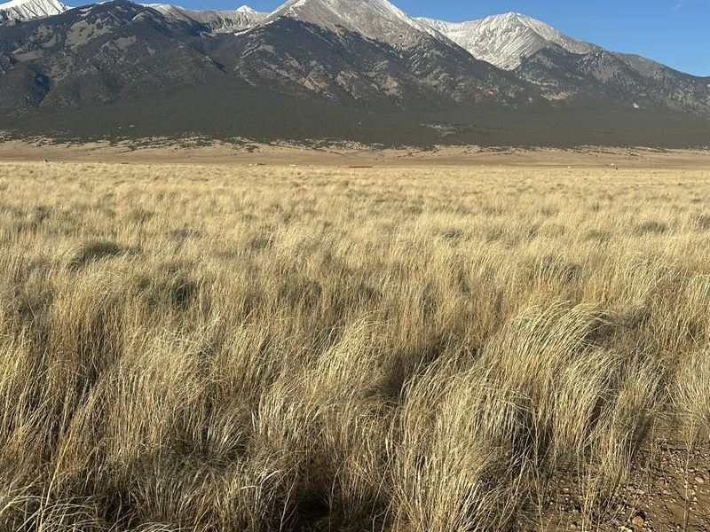 2.66 AC Co, No HOA , $448 Down : Alamosa : Alamosa County : Colorado