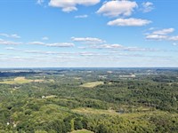 Quiet Wooded Acreage in Western PA : West Sunbury : Butler County : Pennsylvania