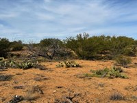 Your Desert Dream Home : Tucson : Pima County : Arizona