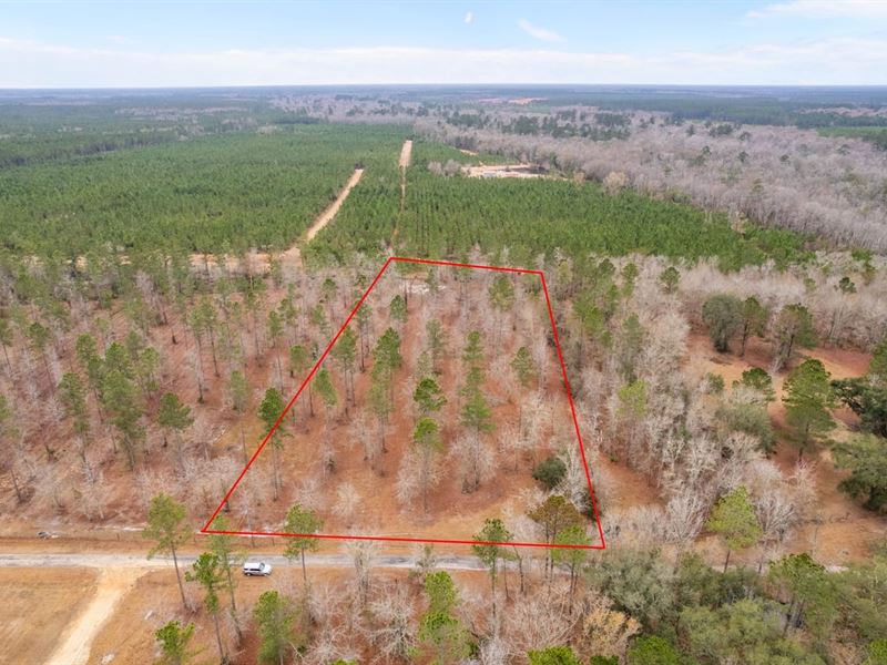 Tract 1, 4 Acres in Loggan Lane : Jesup : Wayne County : Georgia