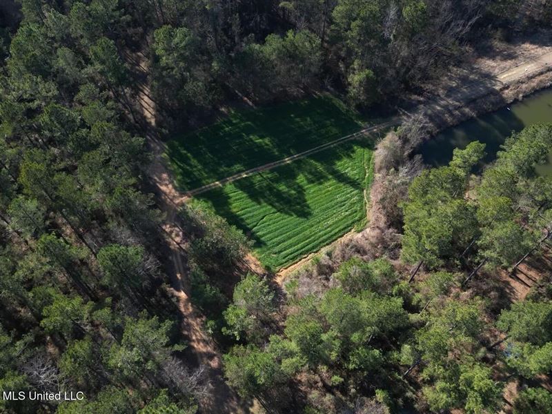 20 Acres in Hazelehurst, MS Near : Hazlehurst : Copiah County : Mississippi