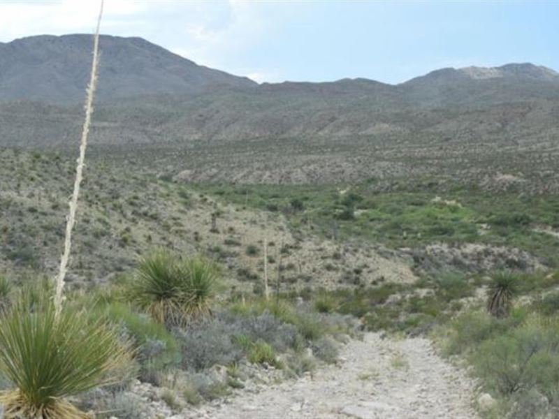 Striking 10-Acre Southwest Corner : Presidio City : Presidio County : Texas