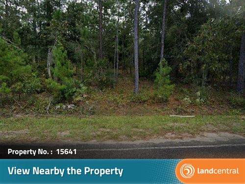 A Gorgeous 0.17 Acre in Putnam, FL : Florahome : Putnam County : Florida