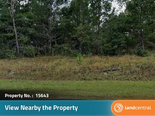 Scenic View 0.17 Acre Lot in Putnam : Florahome : Putnam County : Florida
