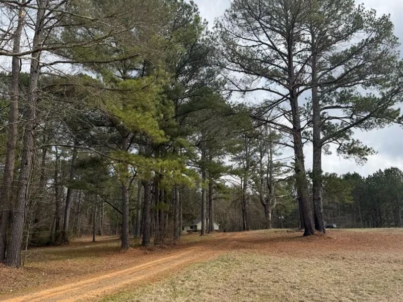 Home on 6 Acres in Leake County, MS : Carthage : Leake County : Mississippi