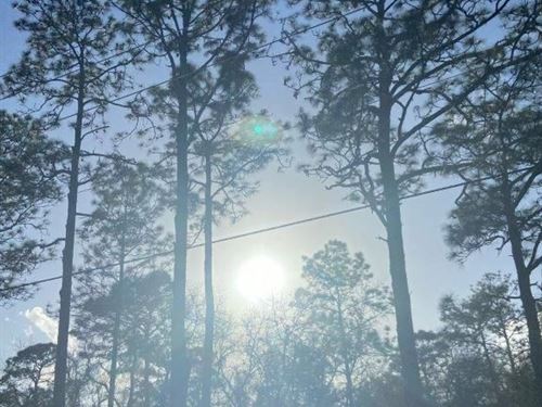 Get Ready to Build Your Dream : Dunnellon : Marion County : Florida