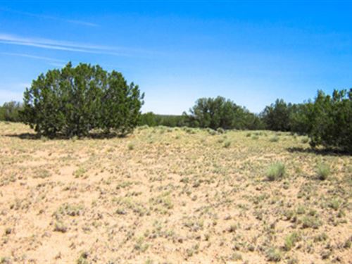 What's Your Idea of Paradise : Saint Johns : Apache County : Arizona