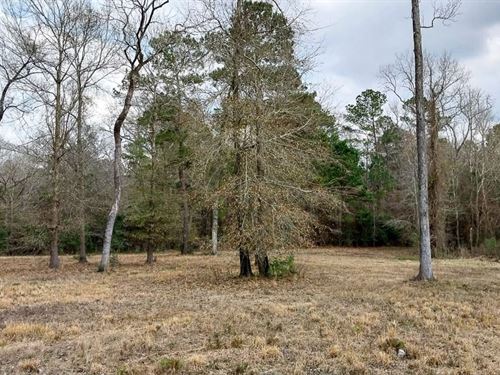 Lot 5, 2.2 Acres, Noah Court, Hu : Huntsville : Walker County : Texas