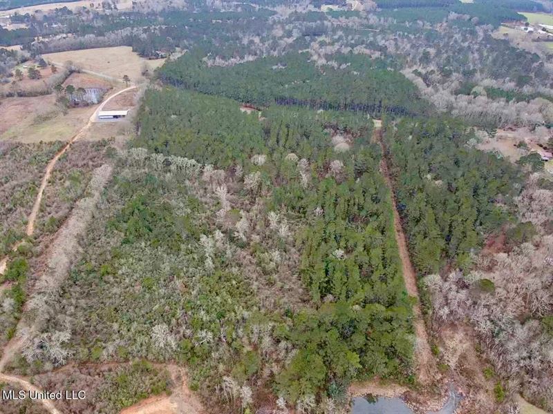 18 Acre Homesite in Magnolia, Ms : Magnolia : Pike County : Mississippi