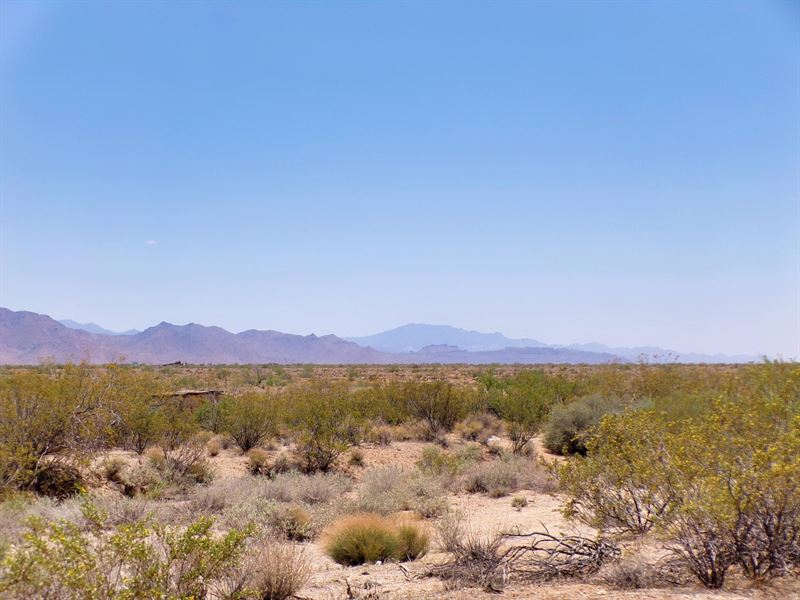 Your Arizona Kingdom Awaits : Golden Valley : Mohave County : Arizona