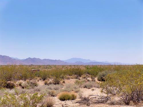 Your Arizona Kingdom Awaits : Golden Valley : Mohave County : Arizona