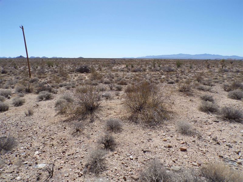 Your Moment to Stop Dreaming : Yucca : Mohave County : Arizona