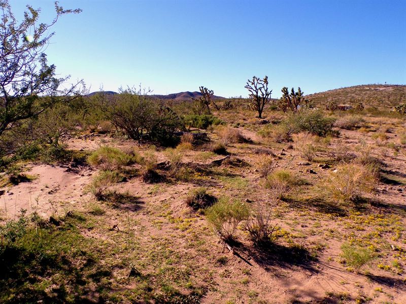 Affordable 1 Acre Near Lake Mohave : Dolan Springs : Mohave County : Arizona