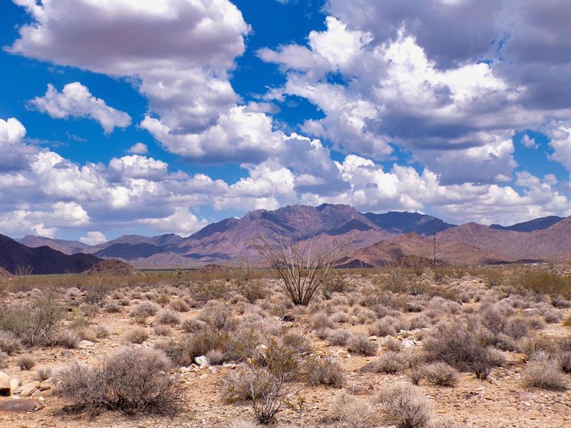 2 Acres Near Parker, AZ : Yucca : Mohave County : Arizona
