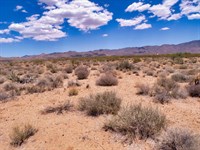 1 Acre in The Tri-State Growth Zone : Golden Valley : Mohave County : Arizona