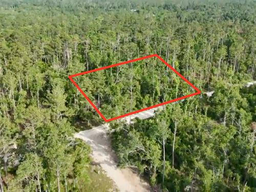 1/2 Acre Lot Just Off The Suwannee : Live Oak : Suwannee County : Florida