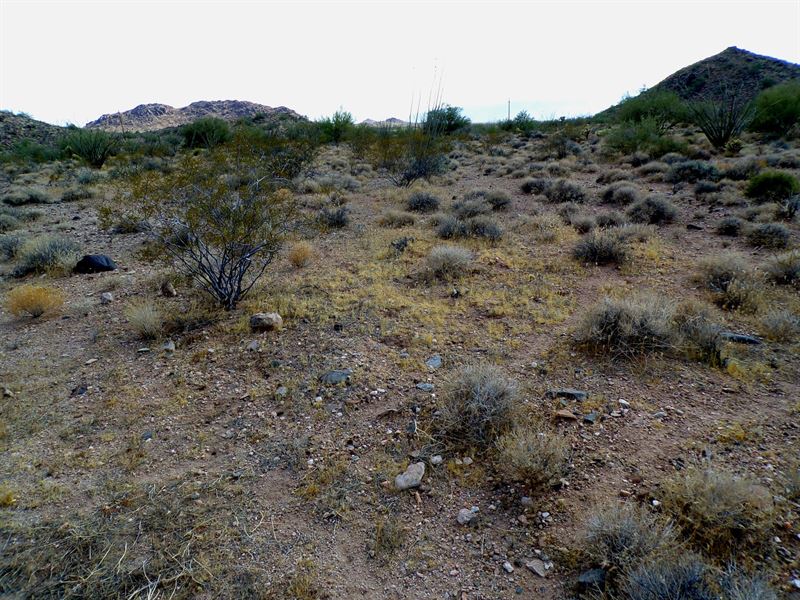 2.35 Acres Perfect Desert Basecamp : Yucca : Mohave County : Arizona
