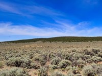 Now You Can Build Your Dream Home : Fort Garland : Costilla County : Colorado