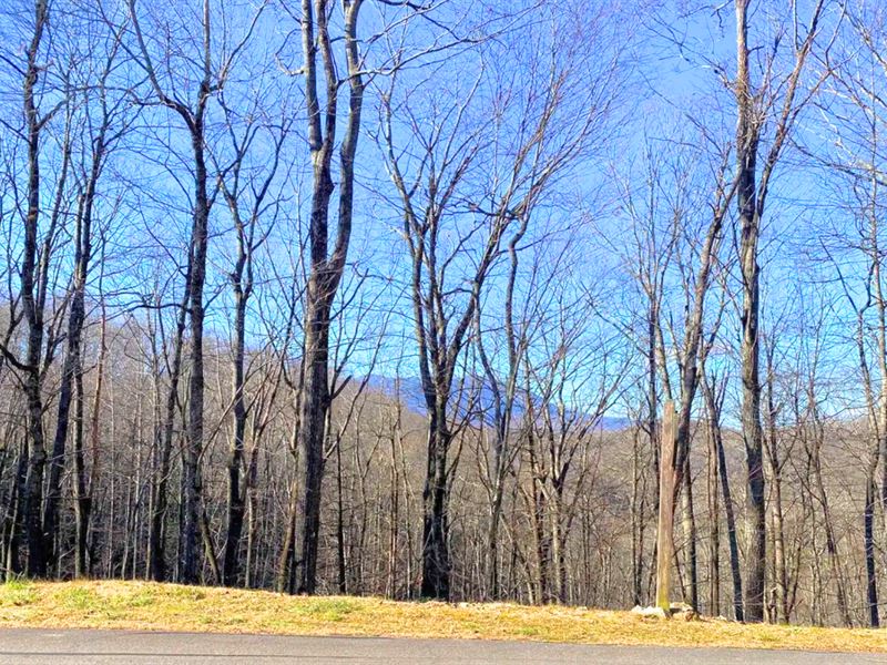 Mountain Lot in Spruce Pine : Spruce Pine : Mitchell County : North Carolina