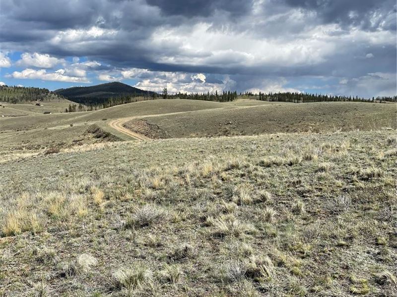 2 Acre Corner Lot of Vacant Land : Jefferson : Park County : Colorado