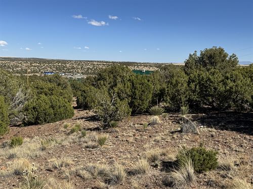 Build Atop a Hill with Scenic Views : Concho : Apache County : Arizona
