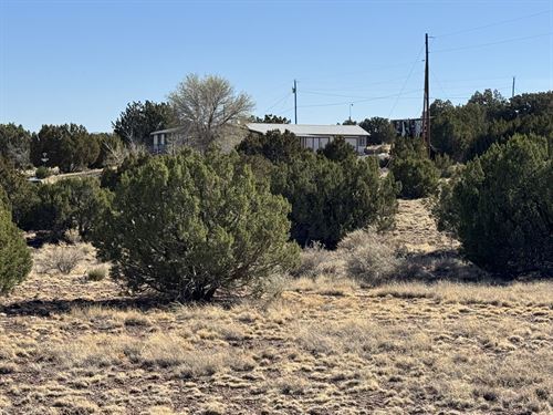 Corner Double-Lot Property, Power : Concho : Apache County : Arizona