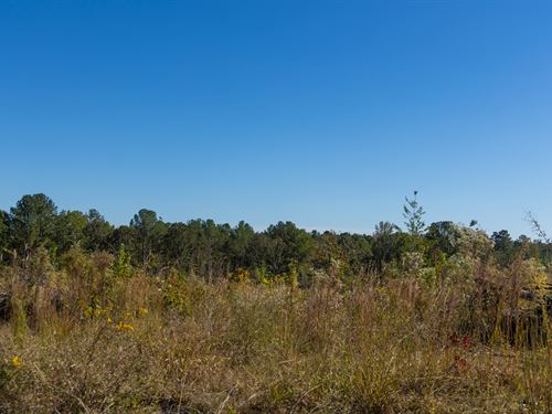 $499 Down Option/No Credit Check : McCool : Attala County : Mississippi